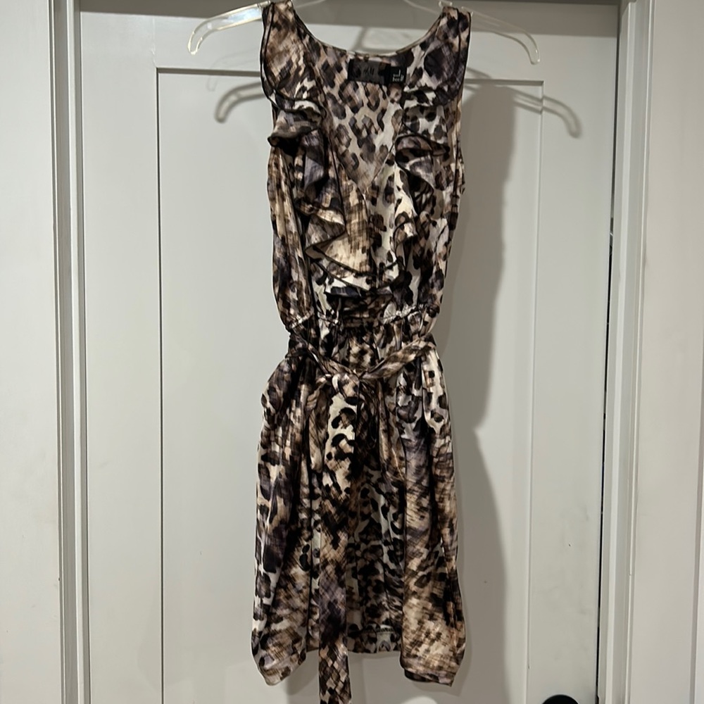 Animal Print Tie Waist Dress
